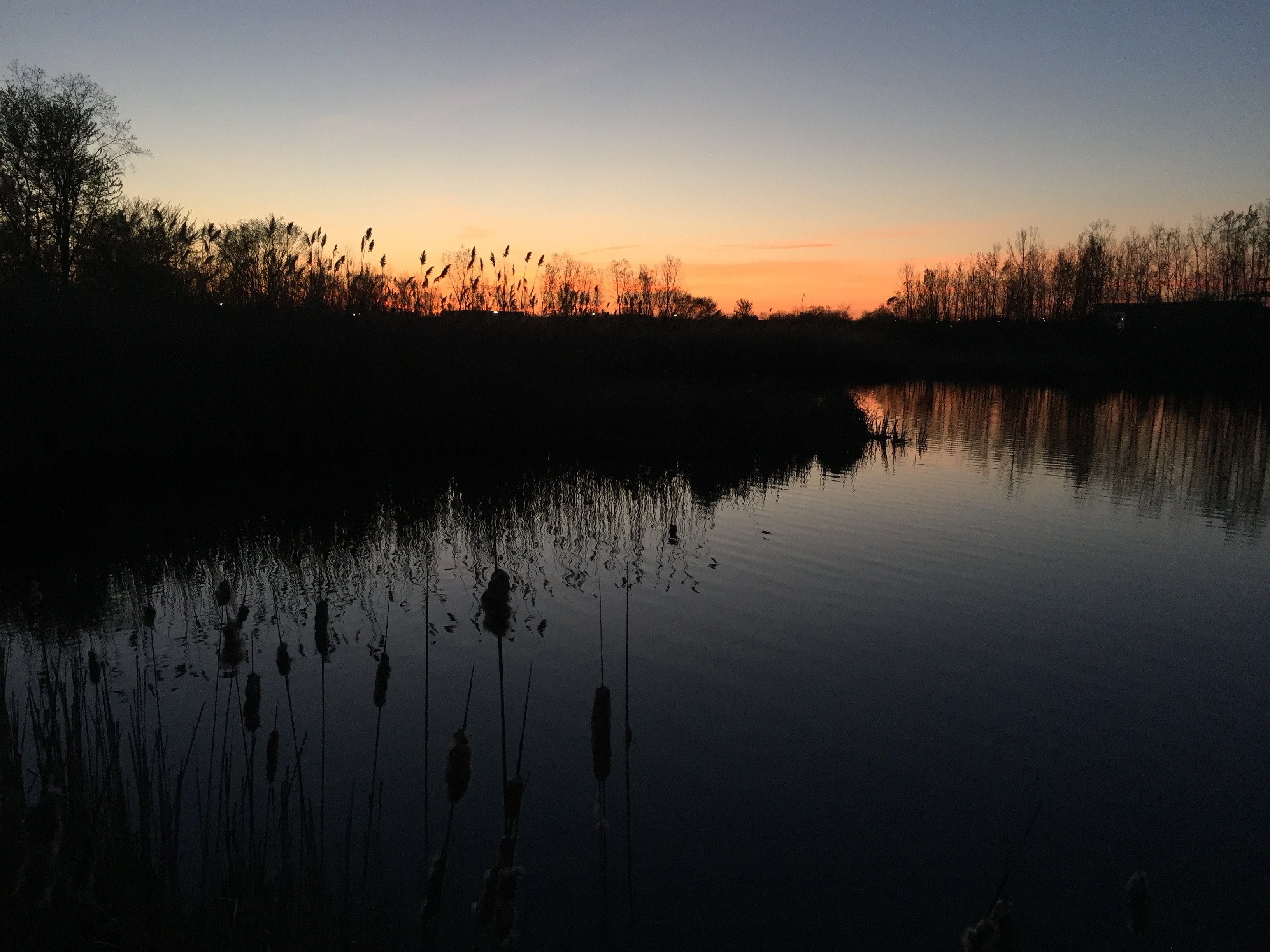 pond at sunset