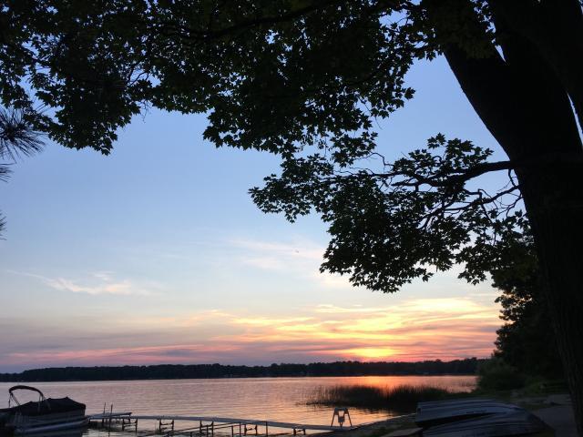 lake view with a tree one the side